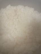 Best White Rice in West Newton, MA