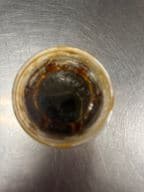 Best Ginger Sauce in West Newton, MA